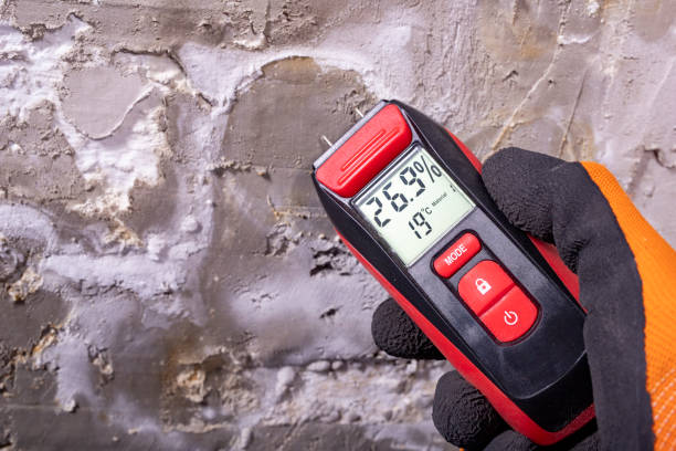 Best Post-Flood Mold Remediation in Woodburn, OR